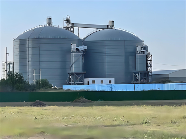 临沂钢板仓建造施工方案详解